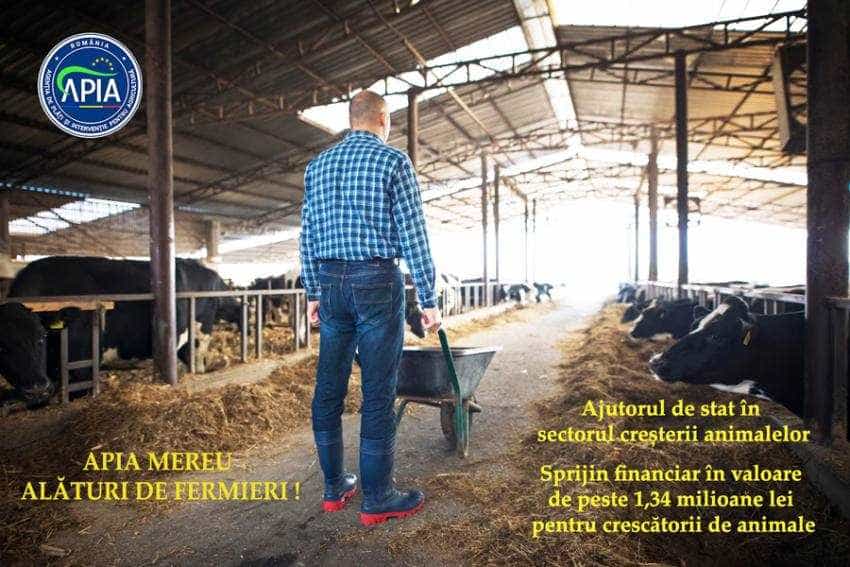 Sursă foto: Facebook APIA