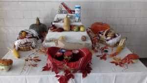 agricultura2 - Liceul care deține fermă didactică, cămin și cantină modernă!