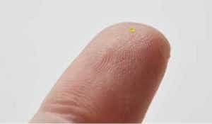 geanta louis vuitton invizibila graunte sare microscop 60 000 euro 843660 - Geanta minusculă cu care nu te poți lăuda, vândută cu peste 63.000 de dolari