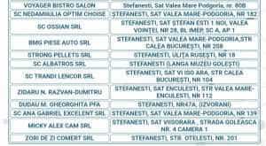 bilete transport Ștefănești