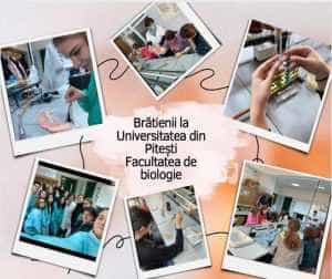 Devino elev al Colegiului Național I. C. Brătianu pentru a urma calea succesului! 4 Colegiul Bratianu