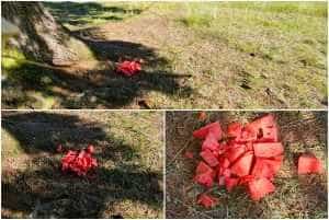 page 1 - Accesul turiștilor cu bagaje, interzis la Lacul Sfânta Ana