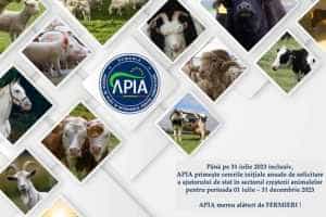 Termen limită. APIA primește cererile pentru acordarea ajutorului de stat în sectorul creşterii animalelor 28 Sursă foto: Facebook APIA