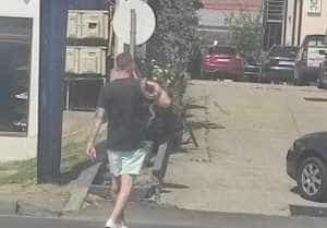 sarpe 610x425 1 - Târgu Jiu: Cu șarpele pe umăr, la plimbare prin oraș