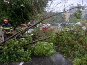 Copac cazut - (VIDEO) Numeroase intervenții ale pompierilor argeșeni, în urma CODULUI PORTOCALIU