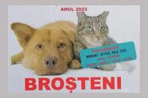 COSTEȘTI. Sterilizări gratuite pentru câini și pisici în data de 10 iulie! 30 Costești sterilizari animale
