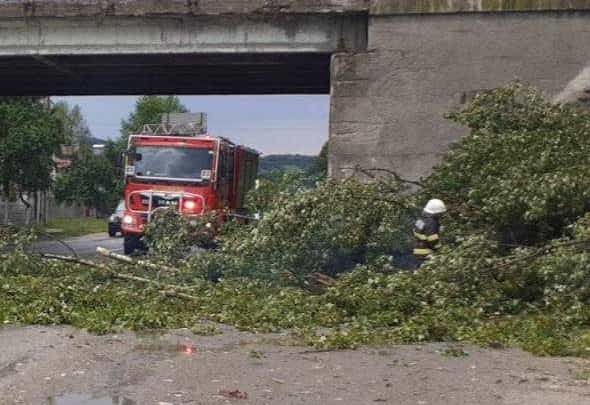 copac cazut pompieri