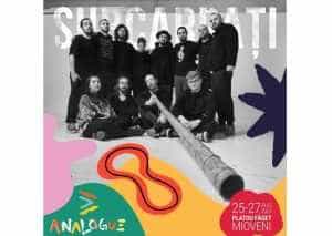 Soundul unic Subcarpați se aude la Analogue Festival 2023 10 Sursă foto: Centrul Cultural Mioveni.