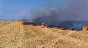 (VIDEO) Lan de grâu izbucnit în flăcări, în Oarja! 22 incendiu - (VIDEO) Lan de grâu izbucnit în flăcări, în Oarja!
