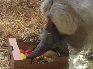 Sursă foto: Facebook Primăria Municipiului Pitesti