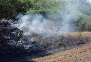 miriste e1689501779755 - Miriște din Bârla înghițită de flăcări! A fost afectată o suprafață de teren de aproximativ 4.000 mp