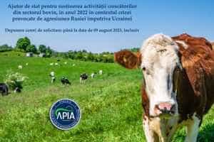 Termen limită. Crescătorii din sectorul bovin pot depune cererile pentru ajutorul de stat 1 Sursă foto: Facebook APIA.