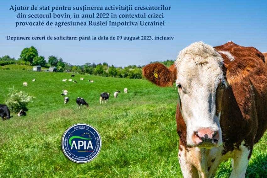 APIA vaci 1 Sursă foto: Facebook APIA.