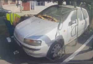 Sursă foto: Facebook Primăria Municipiului Pitești