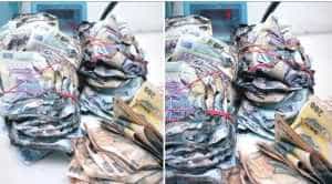 Bani arsi - Un român a mers la BNR cu un teanc de bani arși. Ce răspuns a primit din partea băncii