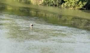 Polițistul local care a salvat o femeie de la înec din Râul Argeș, premiat de administrația din Băbana 2 91259cea af68 48c0 aa46 4a861f572854 - Polițistul local care a salvat o femeie de la înec din Râul Argeș, premiat de administrația din Băbana