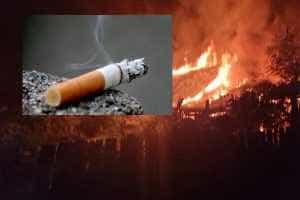 page - Tragic! Bărbat din Iași găsit carbonizat în propria locuință