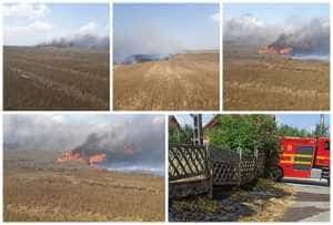 page 2 - ACUM! Patru incendii de vegetație uscată în Argeș