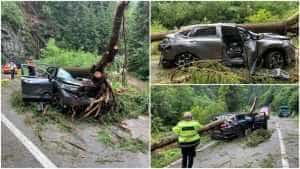 transalpina copac accident auto isu alba format 850x478 1 - Transalpina: O persoană a murit după ce un copac a căzut pe mașina în care se afla