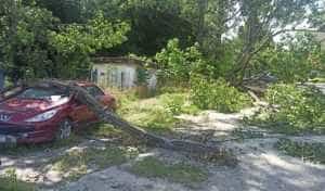 cd0b4a67 da0c 4f74 af98 9fb09f39c9f4 - Un stâlp de electricitate a căzut peste o mașină, în Câmpulung