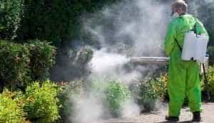 dezinsecție și deratizare