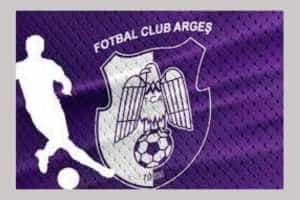 FC Argeș - un brand al județului în lumea sportului românesc 3 FC Argeș
