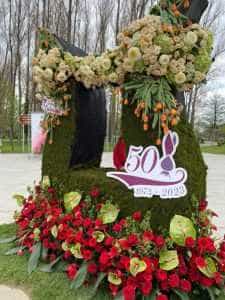 simfonia lalelelor1 - Simfonia Lalelelor - brandul de eveniment care identifică Piteștiul în România