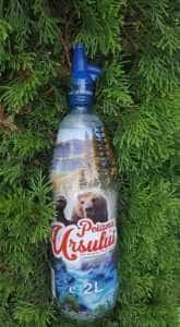POIANA URSULUI – apă din inima pădurii, sănătoasă și pentru bebeluși! 1 apă Poiana Ursului
