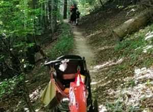 9e9cef2b 838f 419f b27c 9d883c3ed986 - O femeie cu doi copii s-a aventurat pe un traseu de pe Masivul Postăvaru