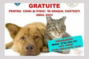 Sterilizări gratuite pentru câini și pisici la Costești 19 sterilizari gratuite Costești