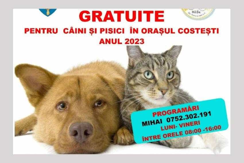 sterilizari gratuite Costești sterilizari gratuite Costești