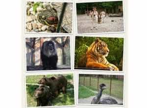 ZOO Pitești. Program normal de vizită în mini-vacanța de Sfânta Maria Mare! 3 Sursă foto: Facebook Primăria MUnicipiului Pitesti.