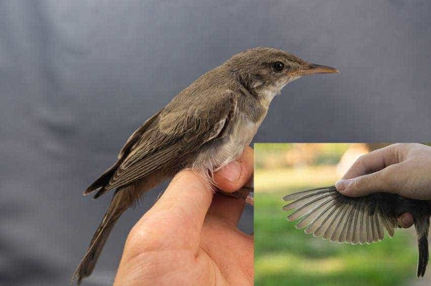 Sursă foto: Facebook Universitatea “Alexandru Ioan Cuza” din Iași.