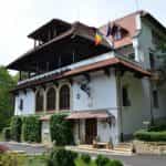 PSD Argeș atacă PNL: „Fără PSD, nu aveați nici istorie, nici poze!” De unde pleacă sămânța scandalului? 10 Sursă foto: muzeulnationalbratianu.ro