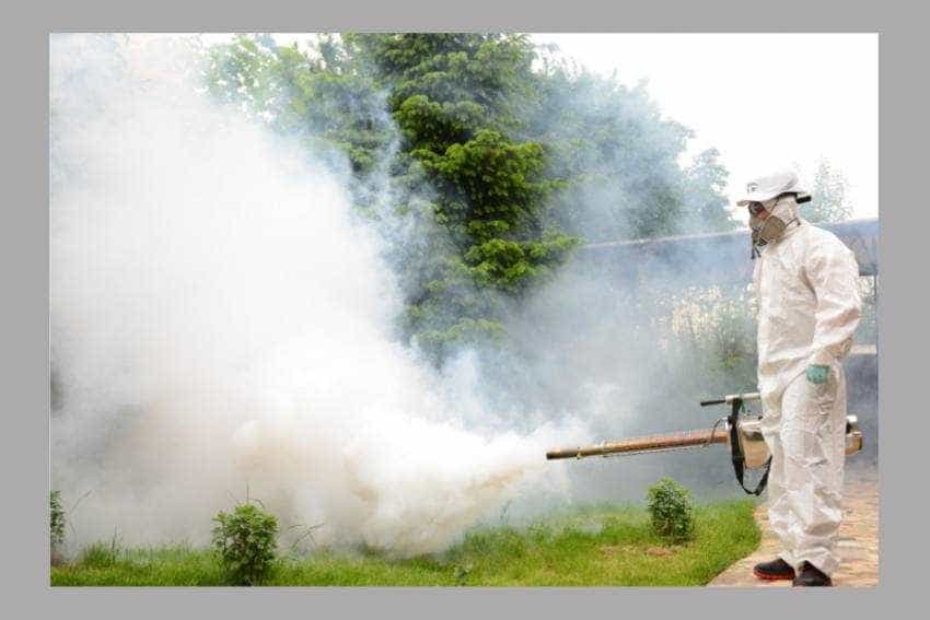 dezinsecție dezinsecție