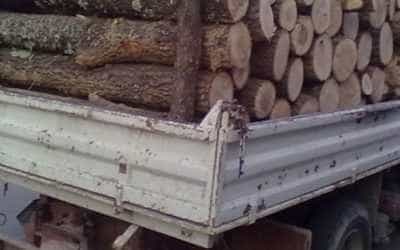 lemne-camion-450x289