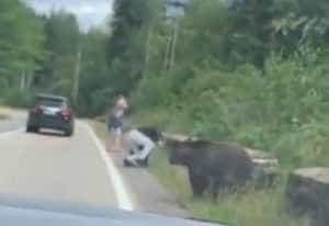 (VIDEO) Turist atacat de urs sub ochii soției 20 3253e471 9927 44da 89f4 74045a08804e 1 - (VIDEO) Turist atacat de urs sub ochii soției