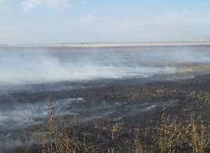 a0a334ad 998f 4548 b552 cd30c7b0b7c6 1 - Incendiu de proporții, în Argeș! Zeci de hectare de teren, afectate de flăcări