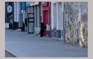 urs la Câmpulung