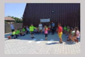 activitati politisti