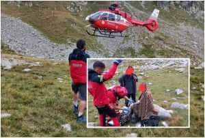 page 1 - Bărbat mușcat de viperă, în Masivul Parâng! A fost preluat de elicopterul SMURD