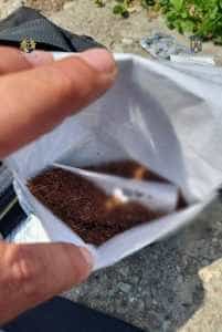 Bărbat de 39 de ani reținut de polițiștii piteșteni pentru trafic de droguri 3 retinut trafic droguri