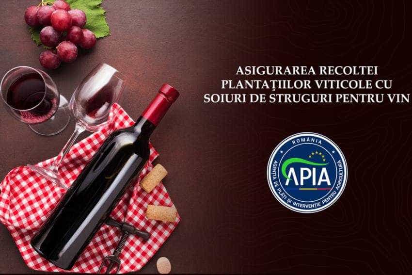 Sursă foto: Facebook APIA.