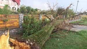 4b947756 1982 4d9e aa28 166a501eab16 - (VIDEO) Localități întregi din Argeș - afectate de CODUL GALBEN!