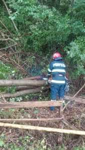 af60ced2 2257 44ef 8d17 0eca19ff67e6 - (VIDEO) Localități întregi din Argeș - afectate de CODUL GALBEN!