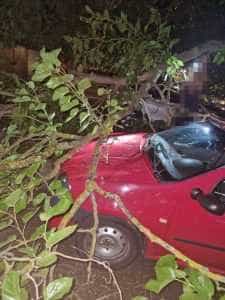 cb76671e 8c8c 4265 9f91 9f929674ac62 - (VIDEO) Localități întregi din Argeș - afectate de CODUL GALBEN!