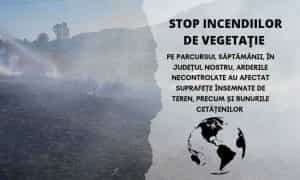 incendii e1693067076800 - Spune STOP arderilor de vegetație! Alege să fii responsabil!