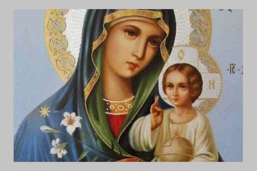 sf maria sf maria