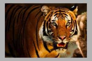 Zoo Pitești - Program de vizitare de la 1 septembrie 1 zoo Pitești