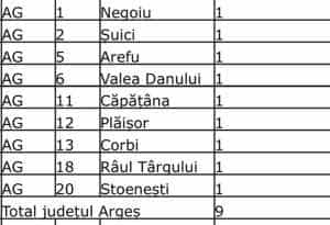 Sursă foto: PNL Argeș